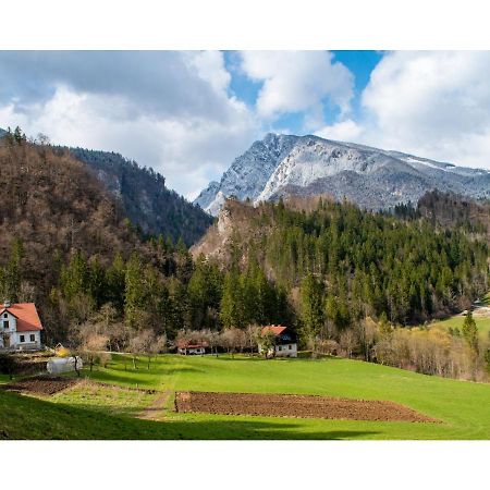 فيلا Lučeفي Turisticna Kmetija Stoglej المظهر الخارجي الصورة