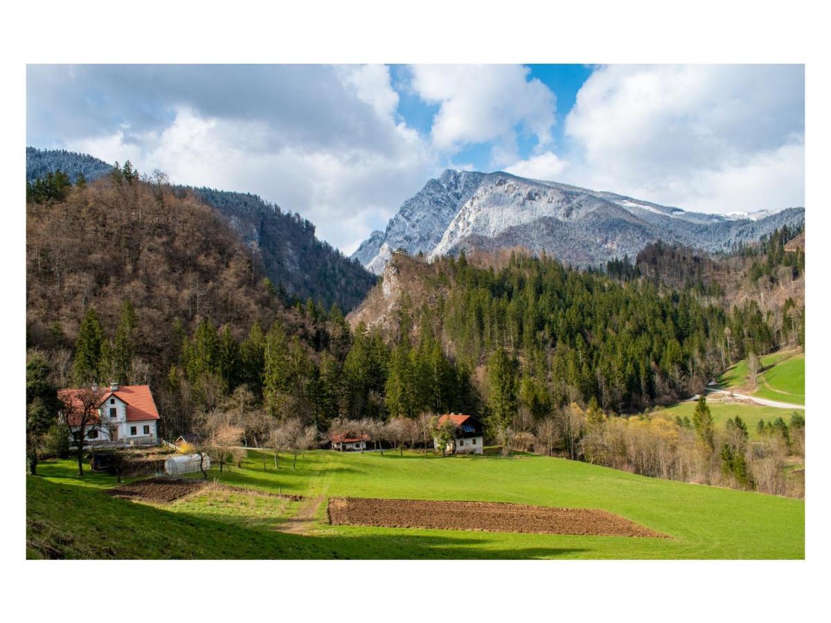 فيلا Lučeفي Turisticna Kmetija Stoglej المظهر الخارجي الصورة